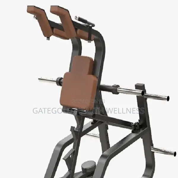 Super Squat Machine DFT683
