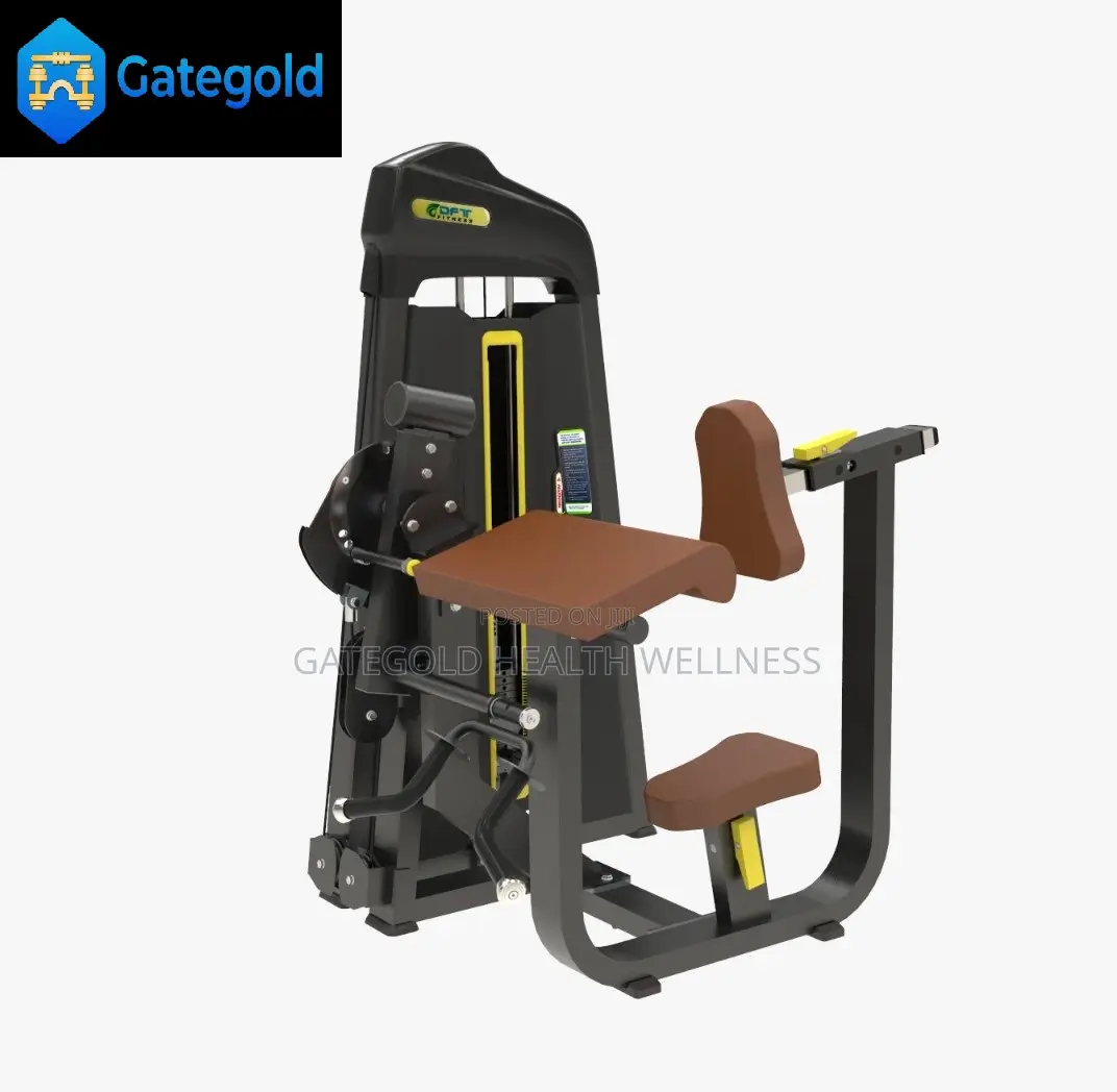 Biceps/Triceps Machine DFT690