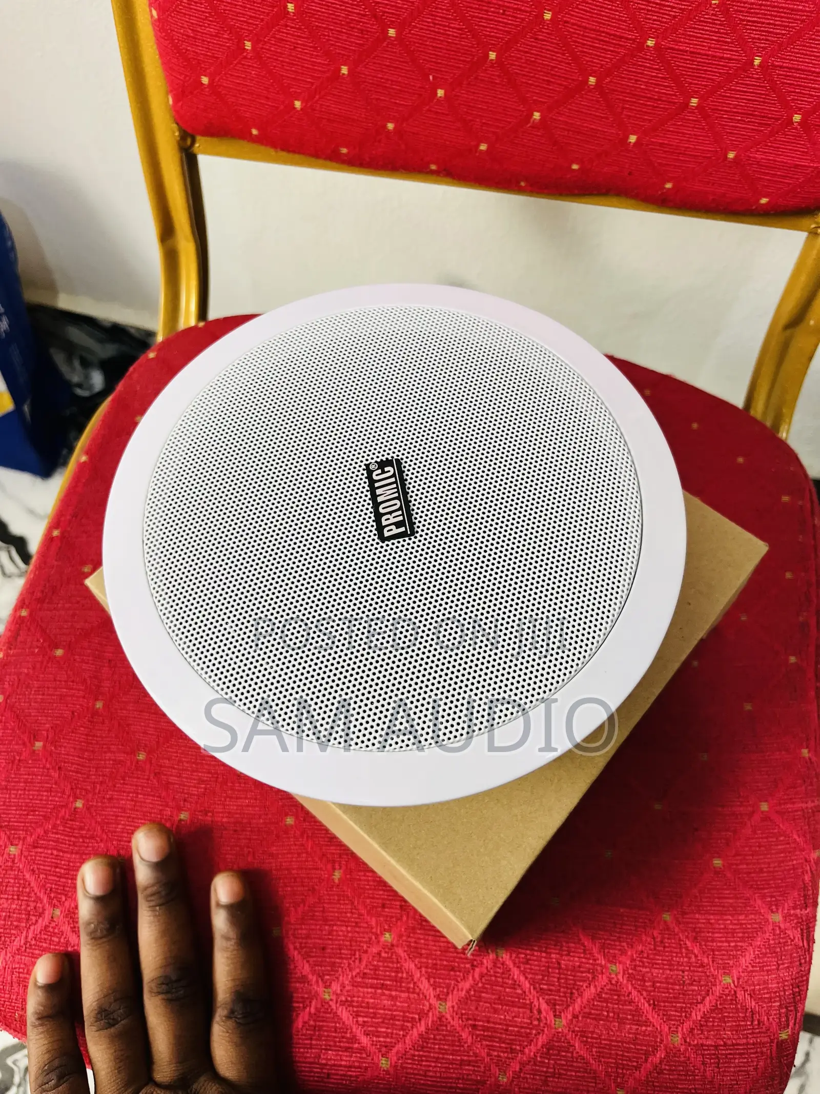 Promic Ceiling Speaker
