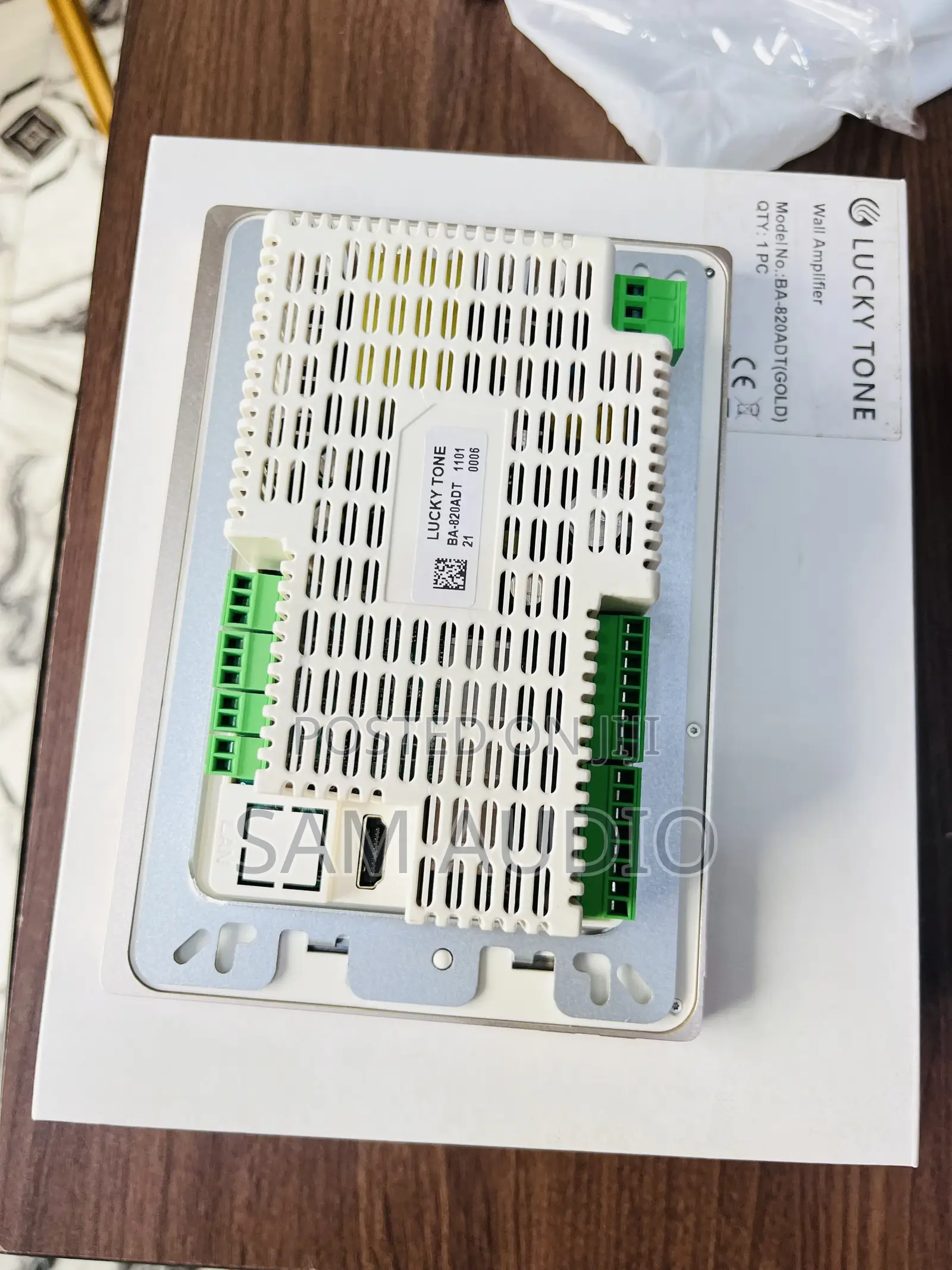 Alexa Inwall Amplifier for Ceiling Speaker
