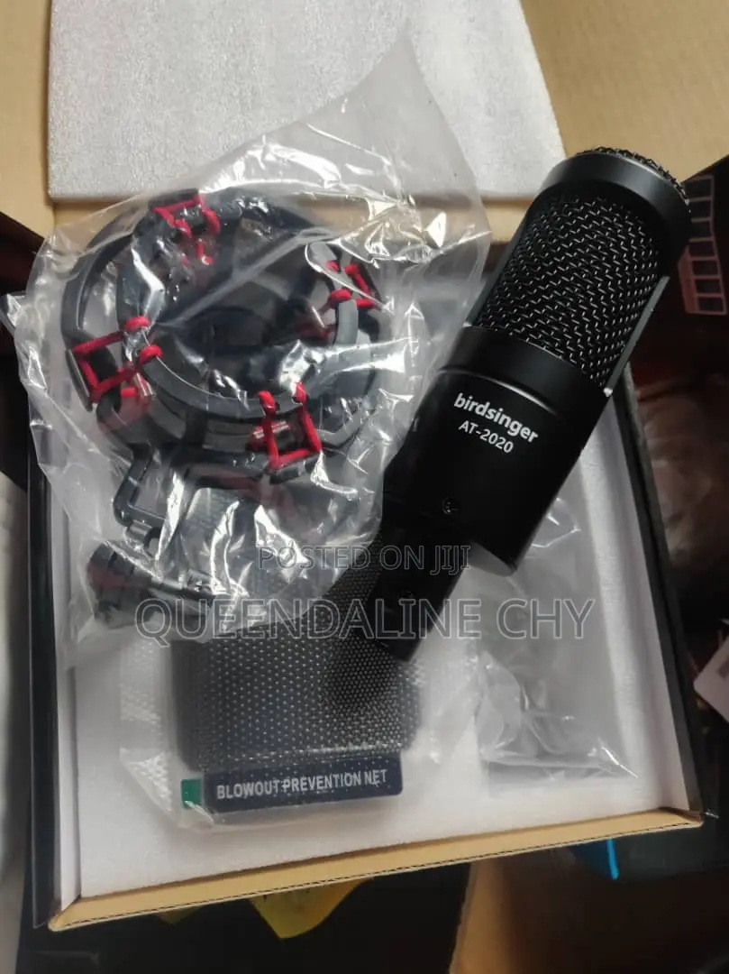 Condenser Microphone. Birdsinger