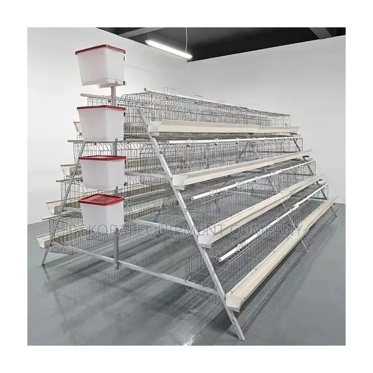 Foreign 160 Layers Cage, Nipple Drinker, Egg, Bell Drinkers