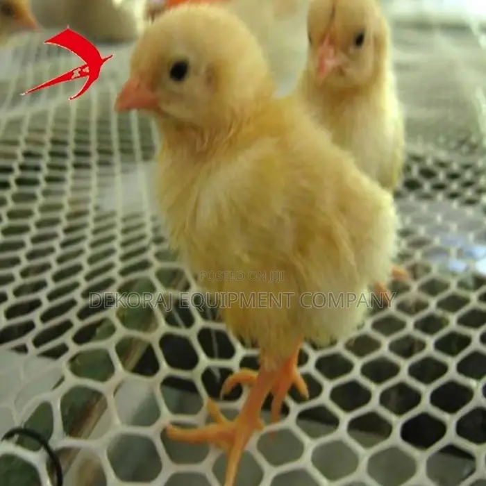 Pullet Cage ,Chicken Raising Floor Mat For Neat Farming