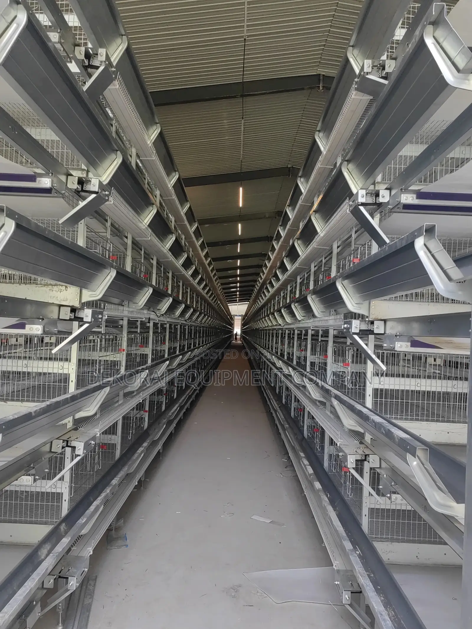 Smart and Fully Automated System Per Set 120 Birds
