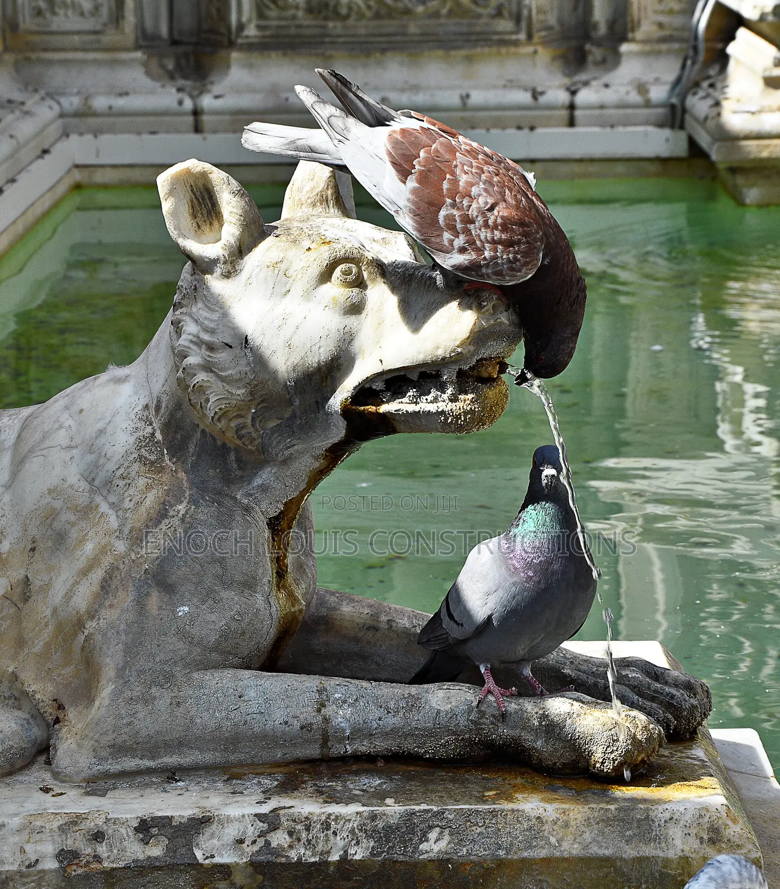We Build Water Fountains You Love