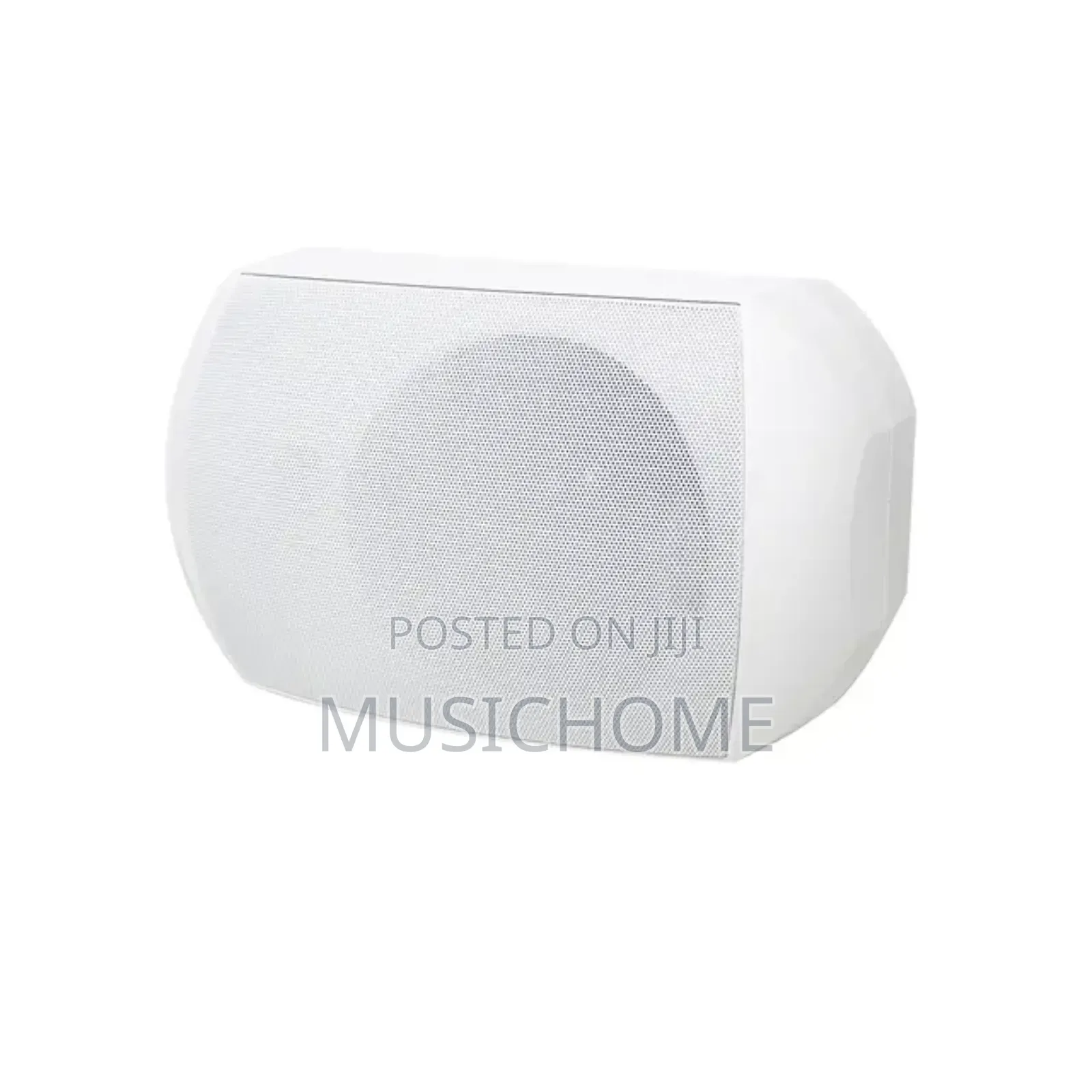 Fashion Wall Mount Speakers With Hanger