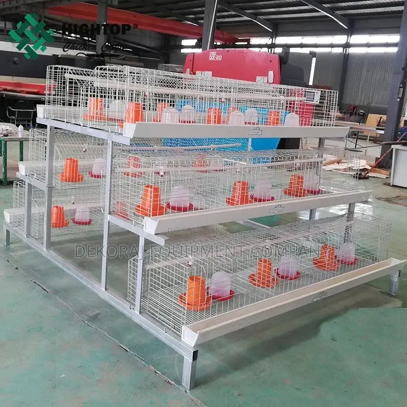 Imported 300 Broiler Chicken High Profits, Chicken Feeders