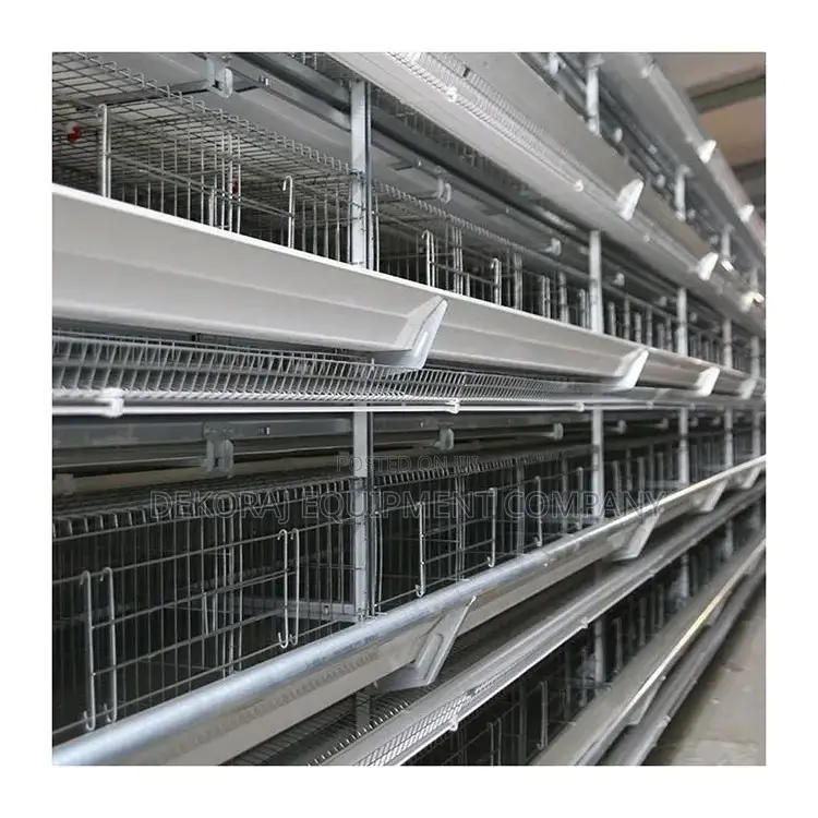 Automated Battery Cage: Feeding, Egg Picking, Cleaning