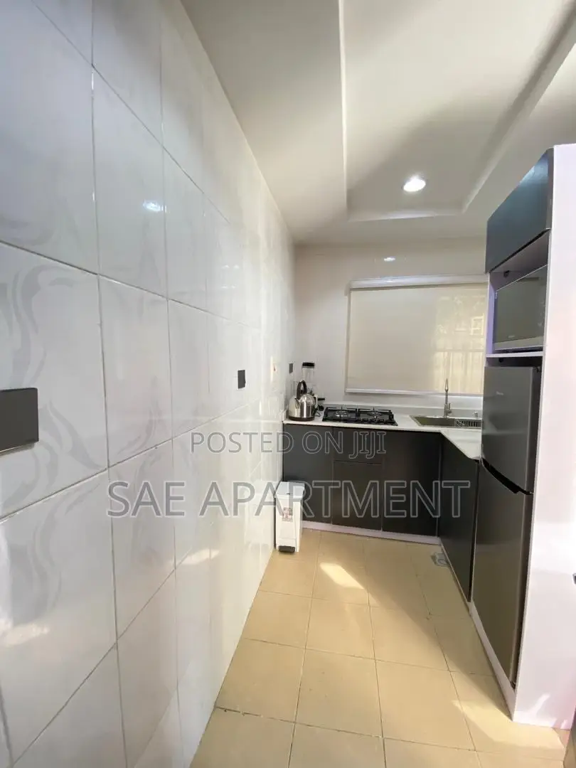 Pretty Two Bedroom Apartment, Wuse 2 Abuja