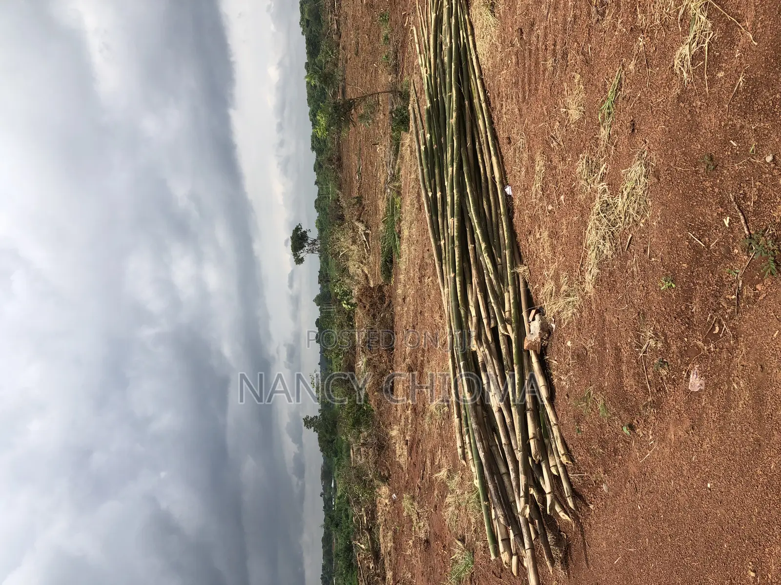 Lands for Sale at Capital Hills Villa