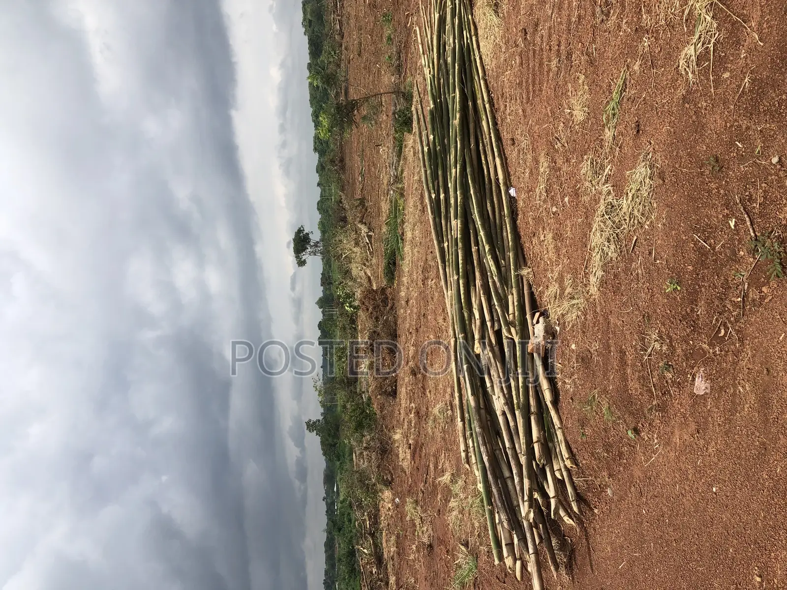 Lands for Sale at Capital Hills Villa