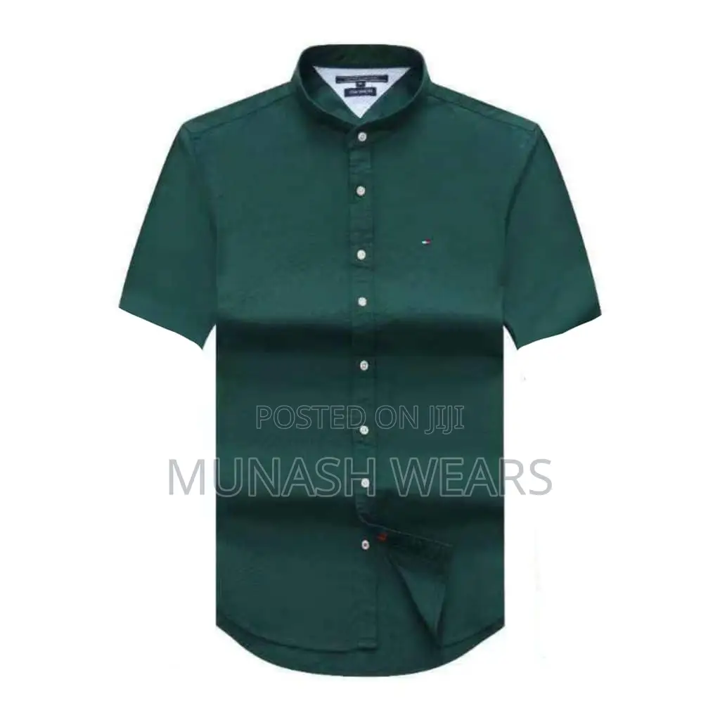 Luxury Tommy Hilfiger Shirt