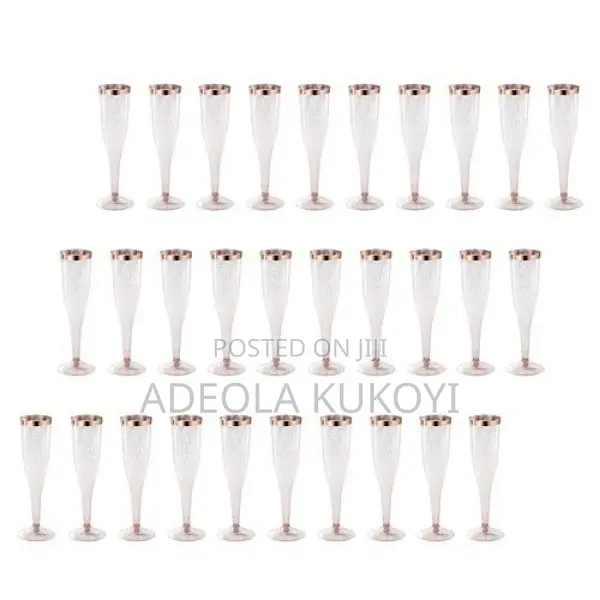 Champagne Flutes Disposable Fancy Acrylic Cup- 12pcs