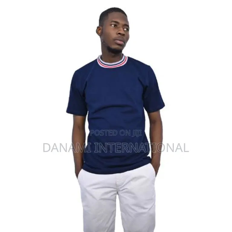 Danami Short Sleeve T-Shirt With Striped Mock Neck