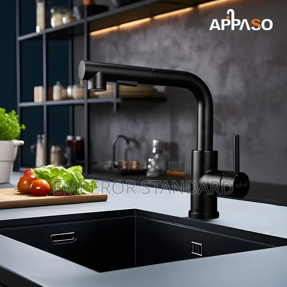Pull Out Spray Mixer Sink Taps Kitchen
