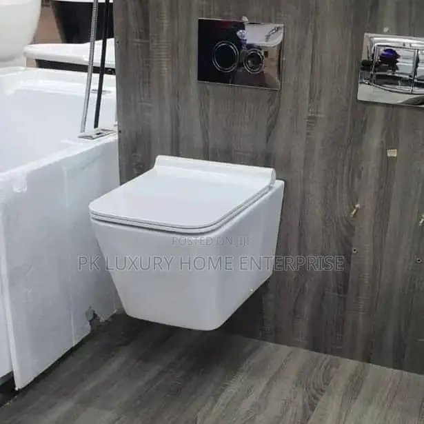 England Standard Conceal Wc(Wall Hang)