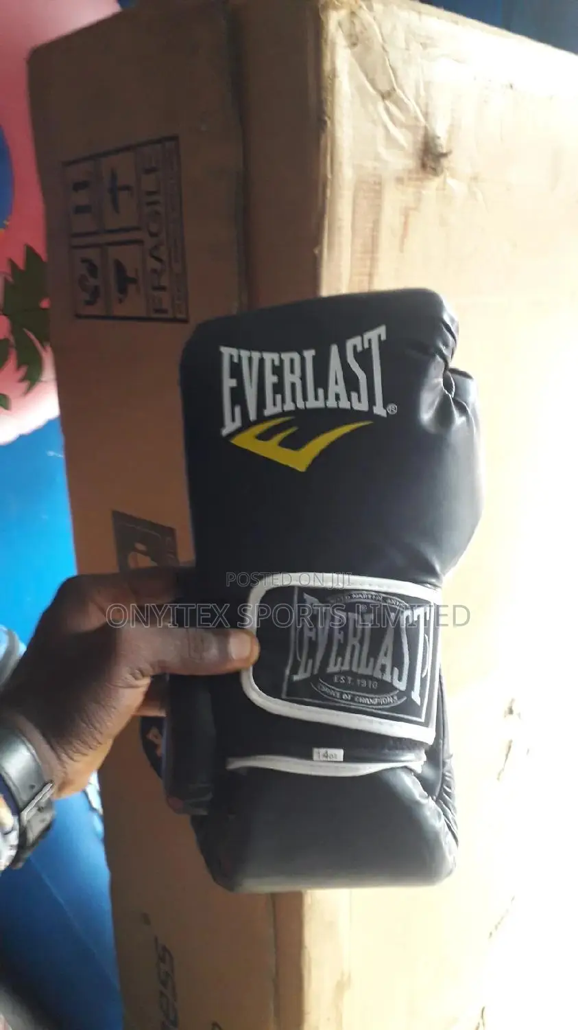 Everlast Punching Gloves