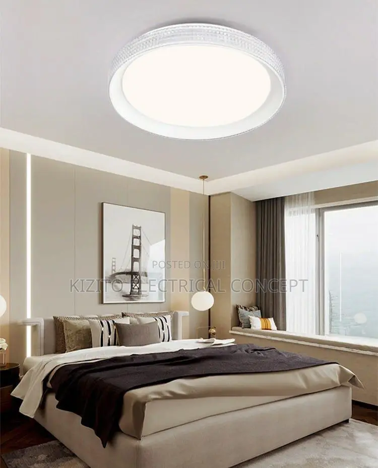 Modern Ceiling Fitting Lamp