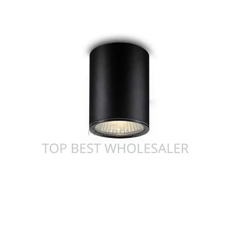 Interior Decor Cylinder Aluminum Flush Mounted Lamp