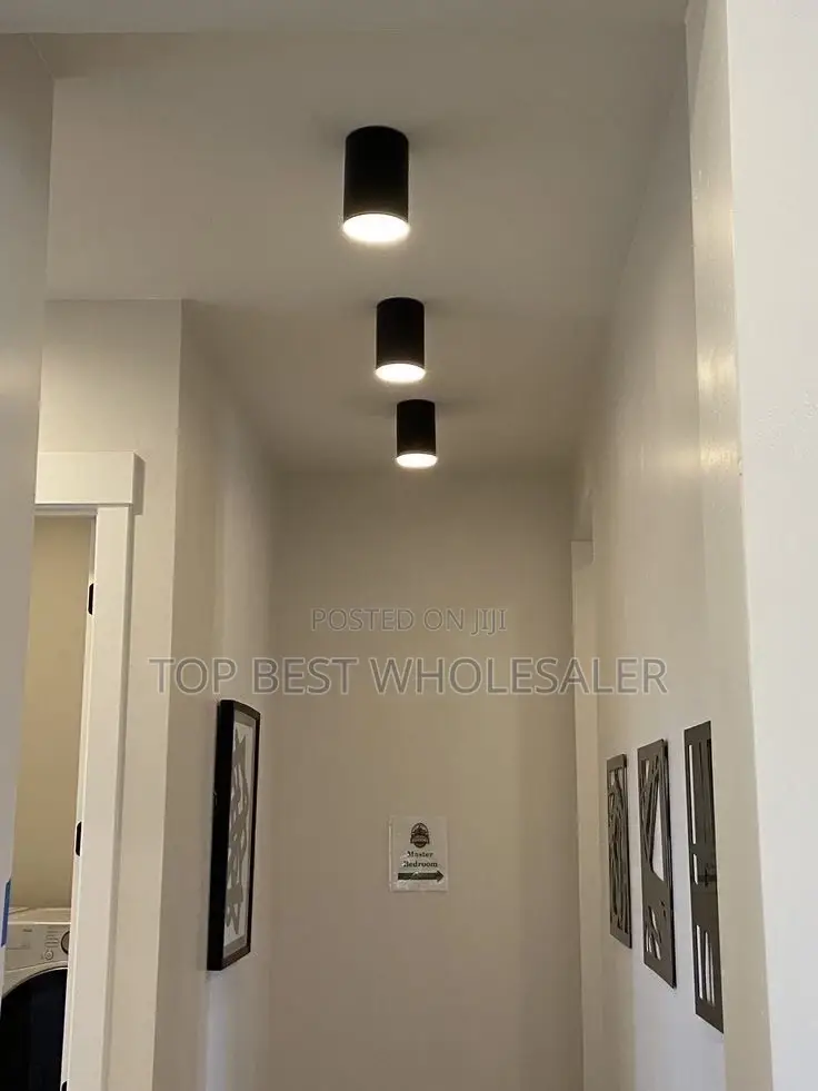 Interior Decor Cylinder Aluminum Flush Mounted Lamp