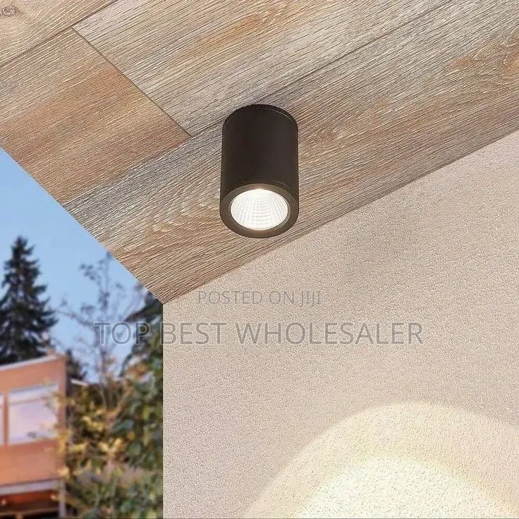 Interior Decor Cylinder Aluminum Flush Mounted Lamp