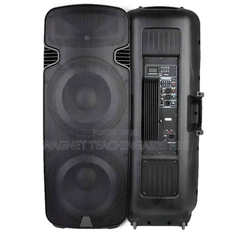 15-inch Double Speakers Classic Audio PAS