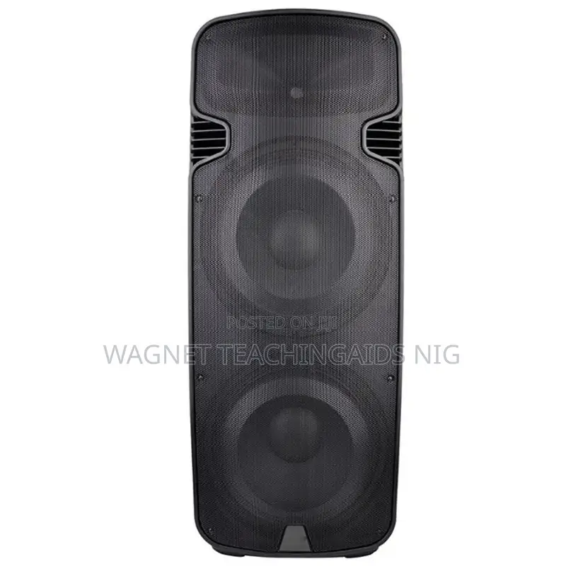 15-inch Double Speakers Classic Audio PAS