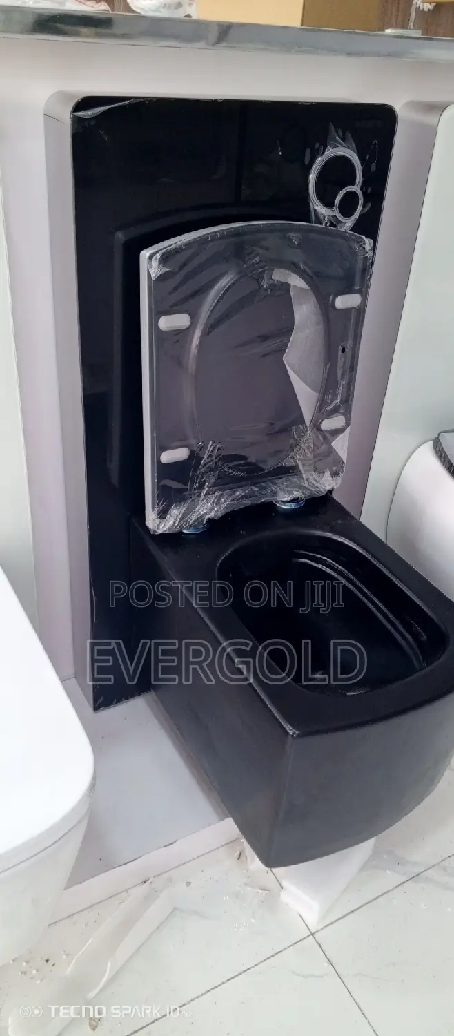 Black Conceal Water Closet With Complete Accessories
