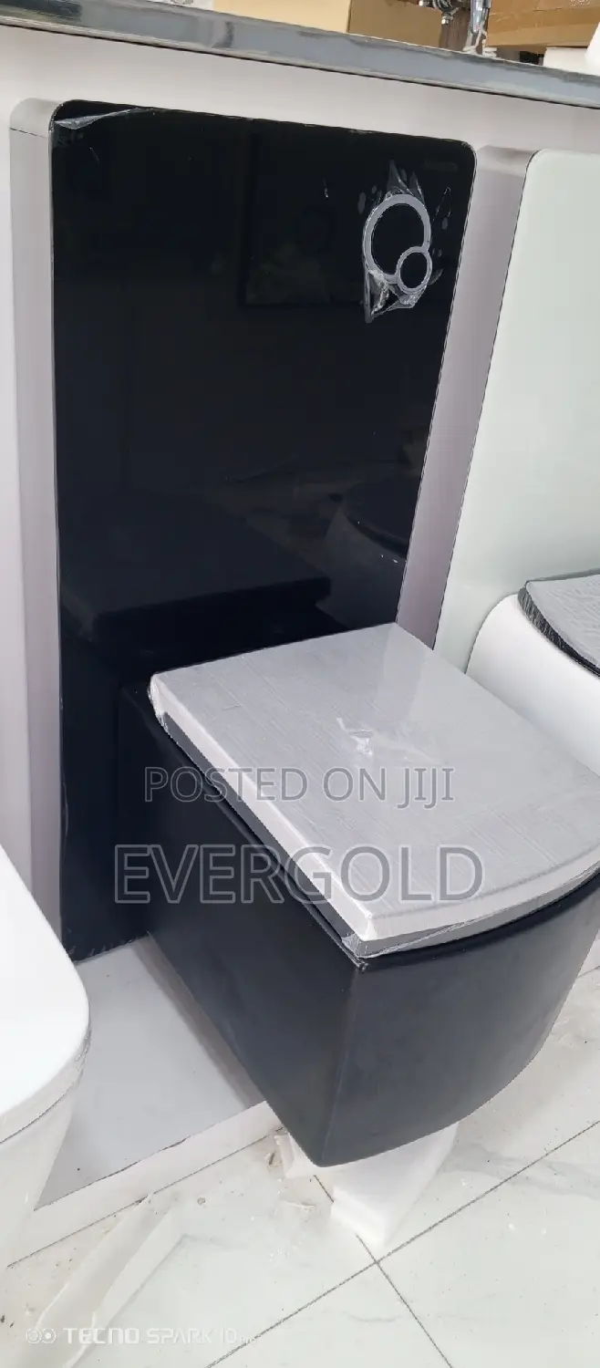 Black Conceal Water Closet With Complete Accessories