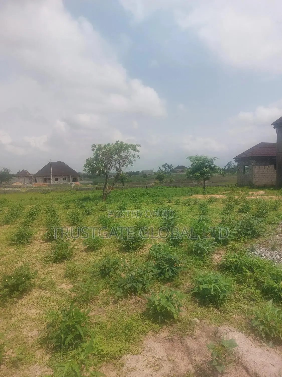 Idu Land for Sale
