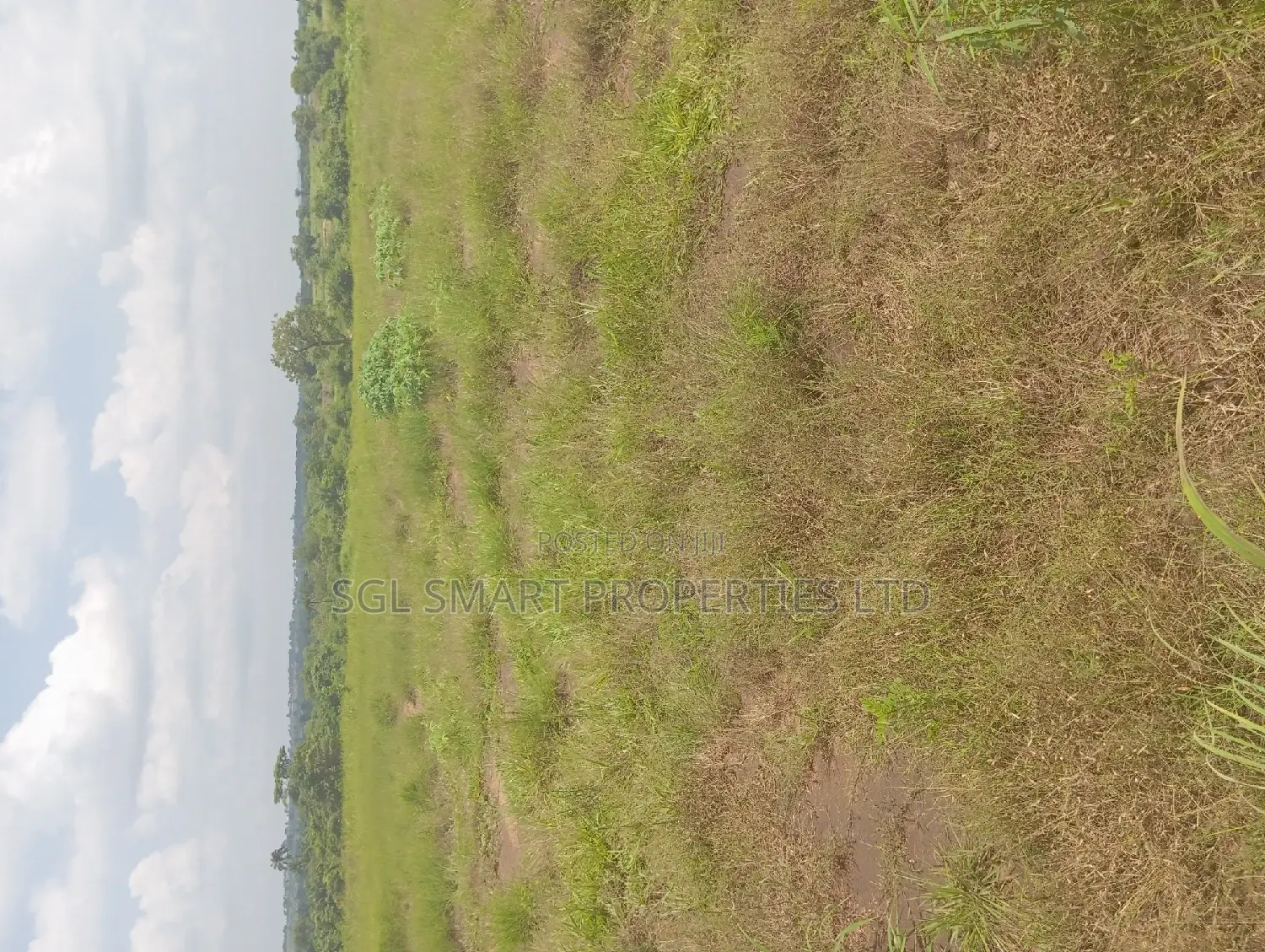 Green Villa Estate Mgbakwu