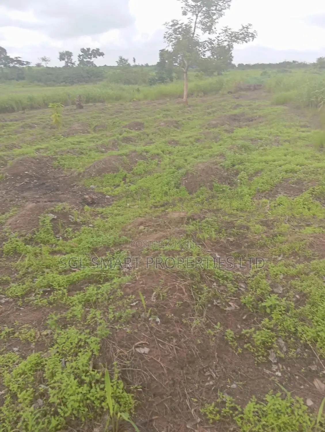 Green Villa Estate Mgbakwu