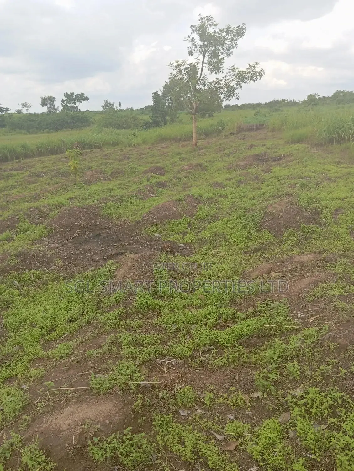Green Villa Estate Mgbakwu