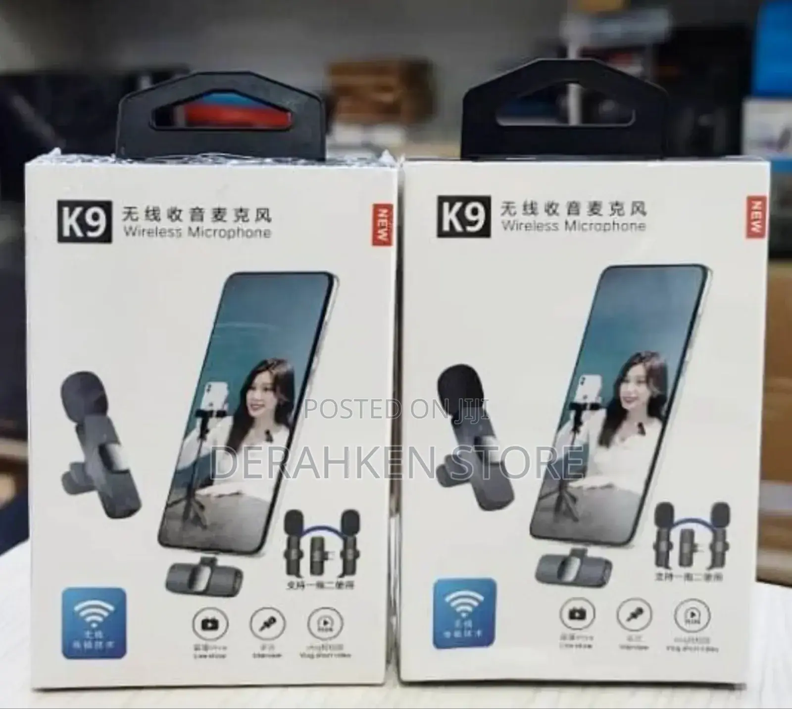 3 in 1 Microphone With 2 Mics