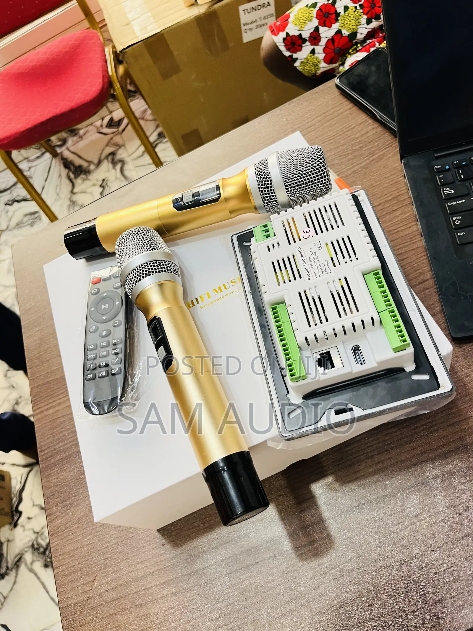 7”Inwall Amplifier With Two Microphones