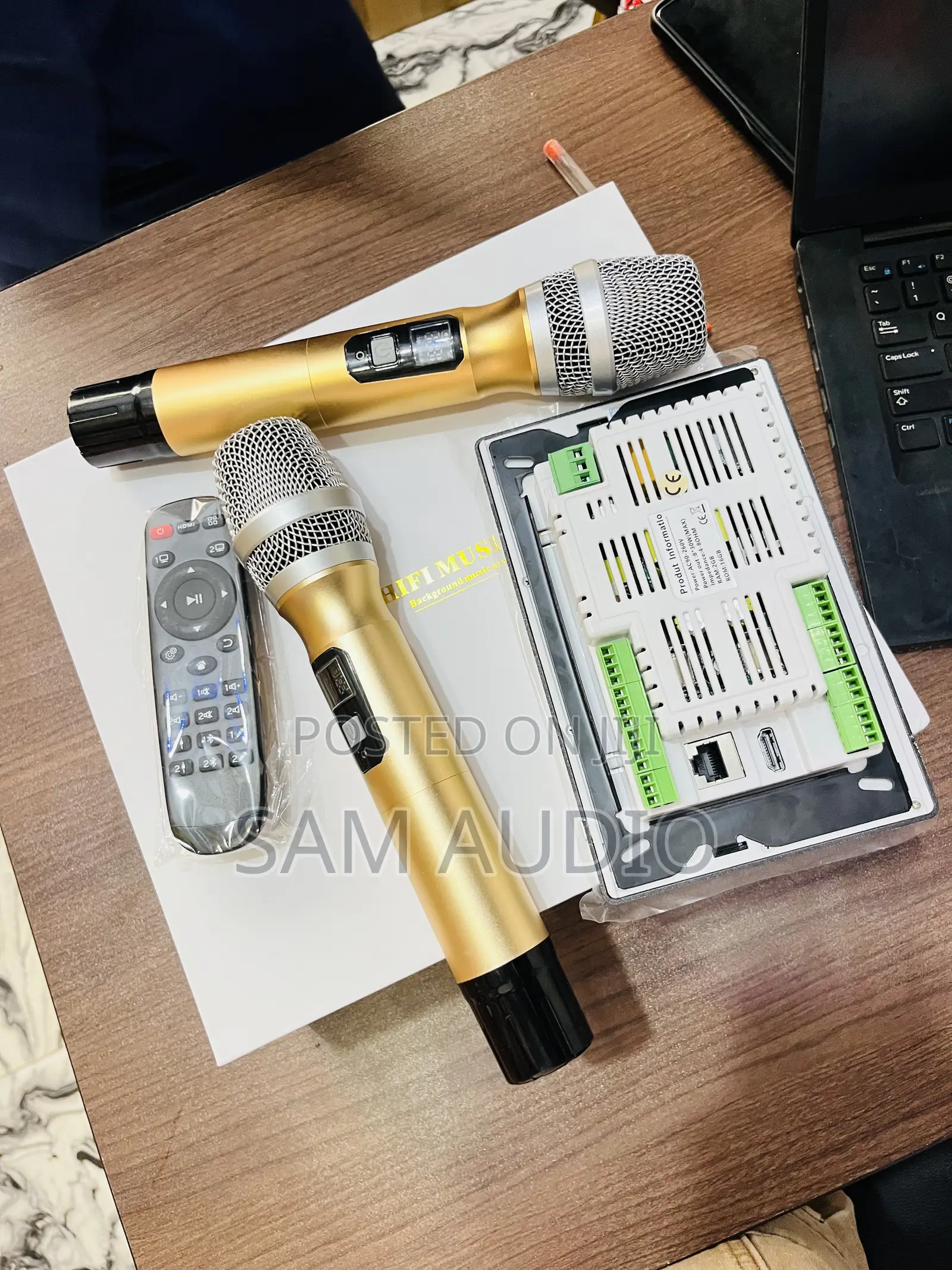 7”Inwall Amplifier With Two Microphones
