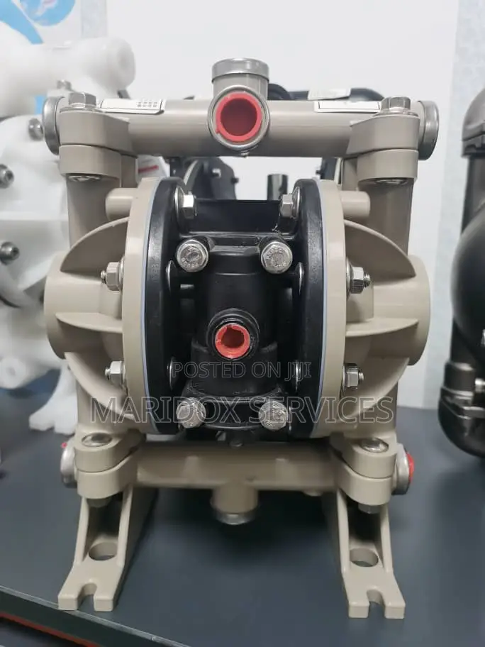 Wilden Chemical Pump 1" STAINLESS