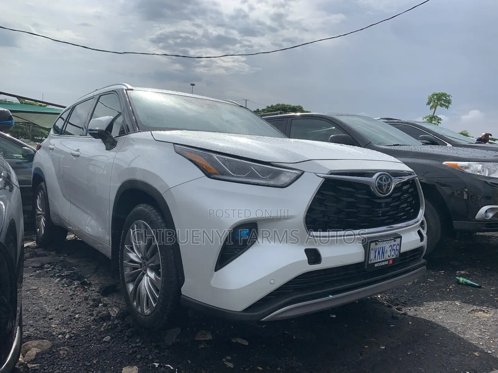 Toyota Highlander Platinum AWD 2023 White
