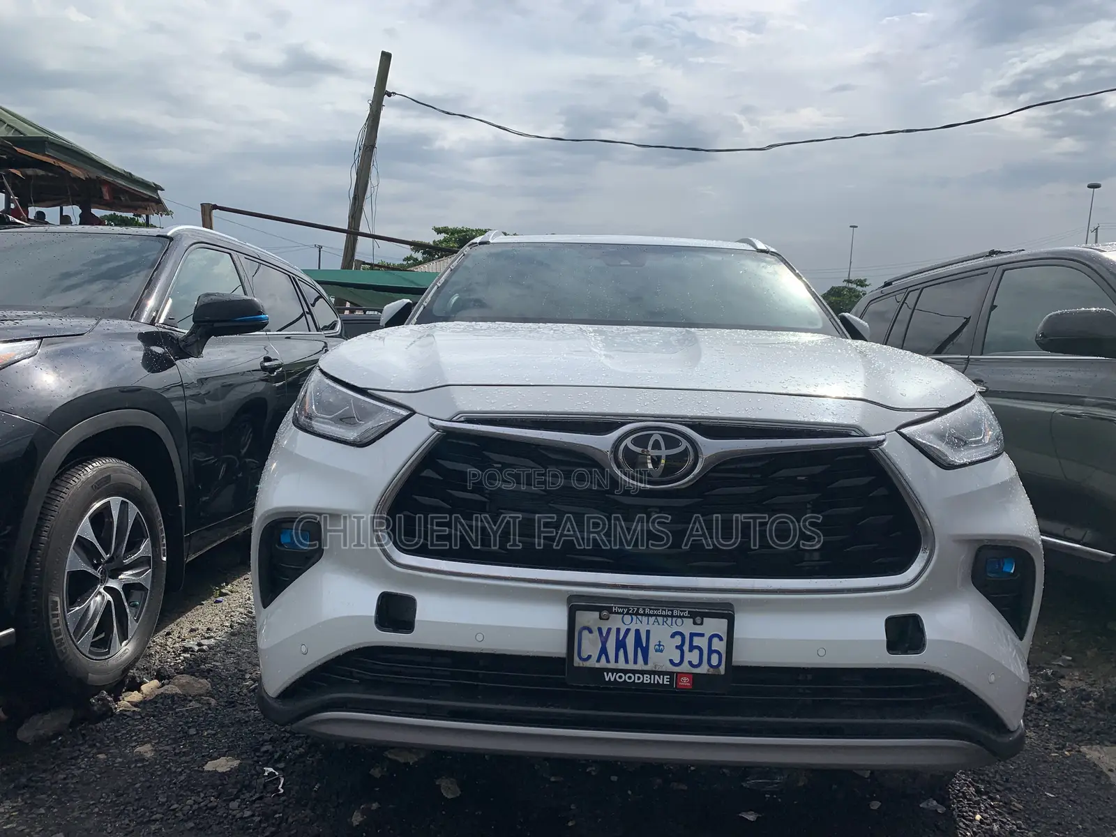 Toyota Highlander Platinum AWD 2023 White