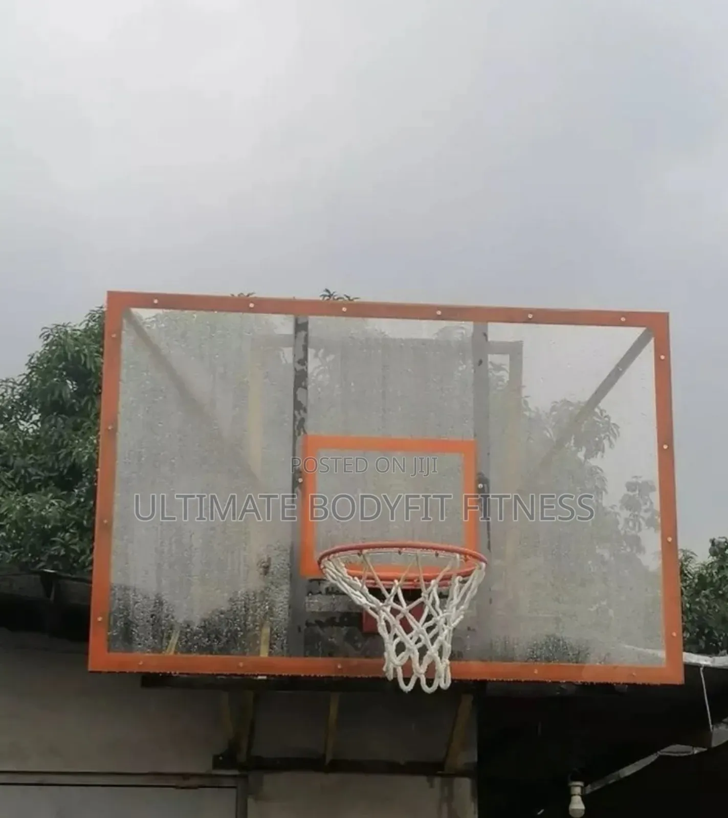 Brand New Plastic Fibre Basketball Back Board
