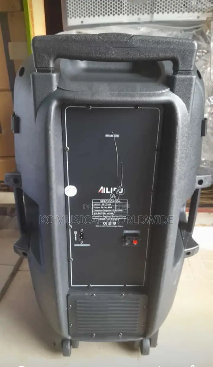 Alipu Public Address System 15"