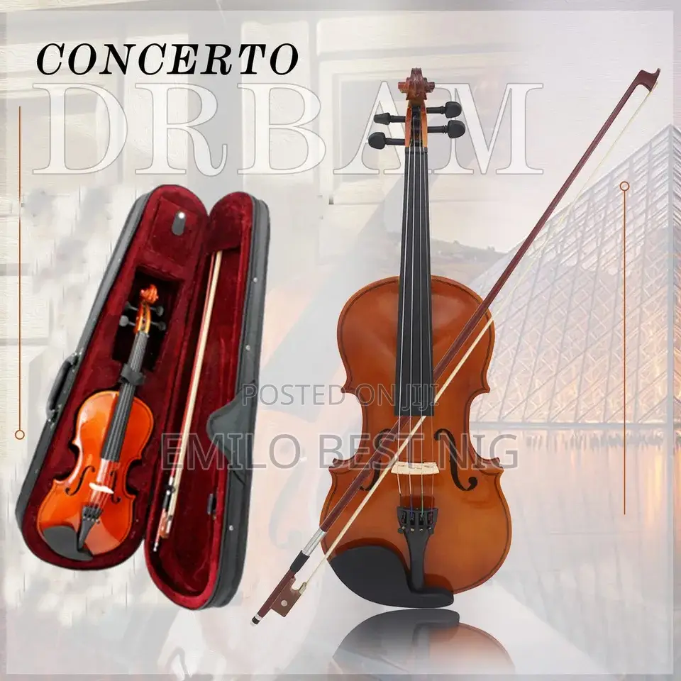 Professional 4/4 Violin