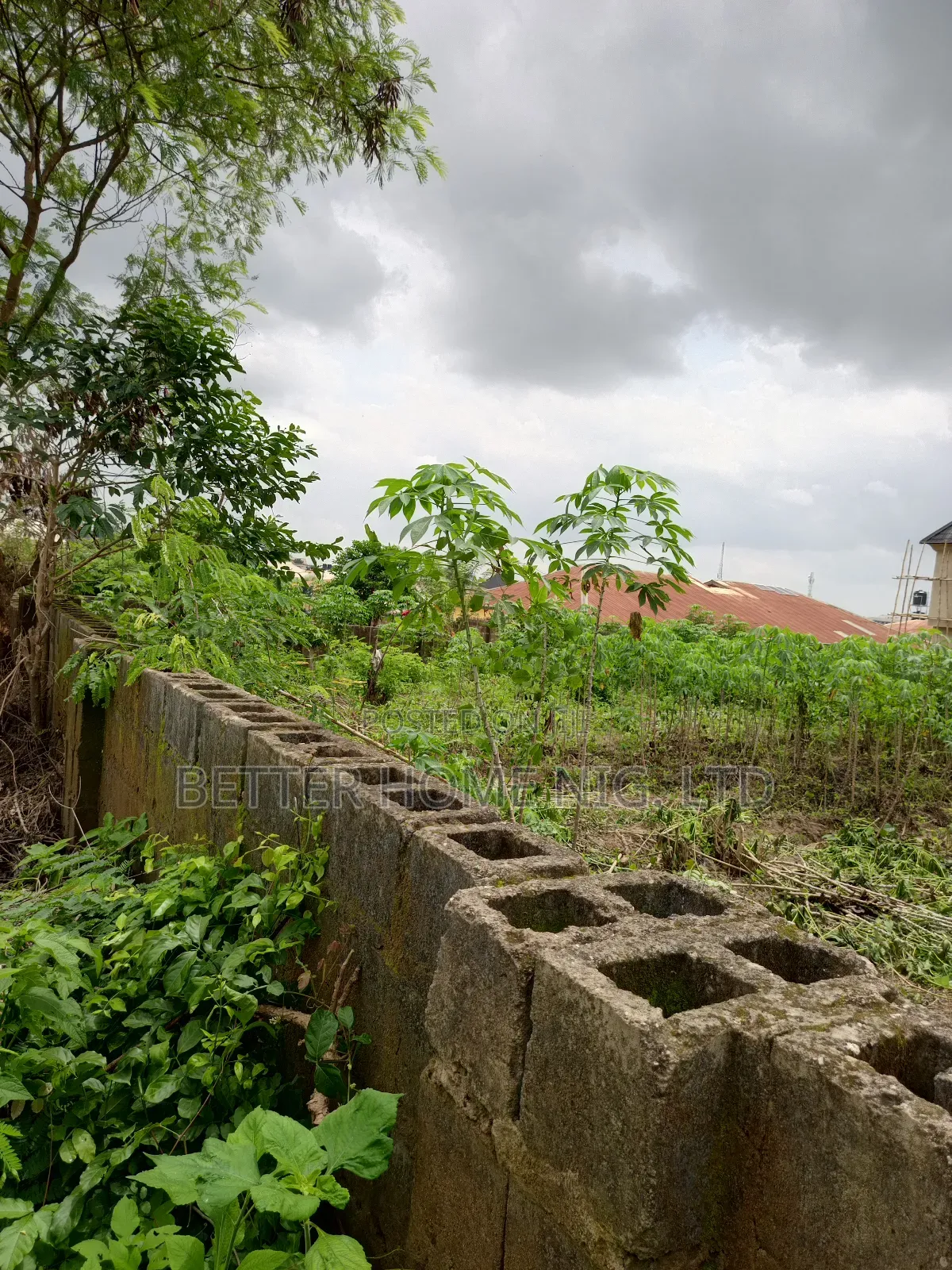 A Plot Standard of Land