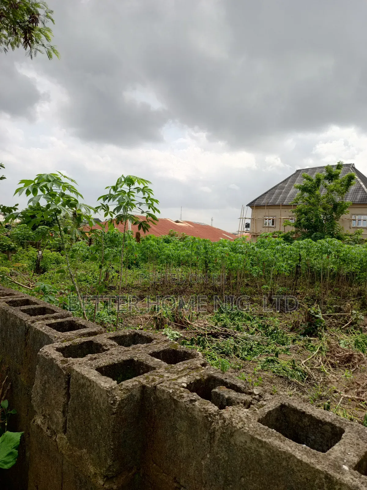 A Plot Standard of Land