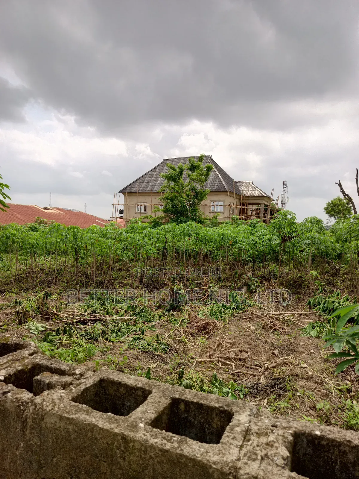 A Plot Standard of Land