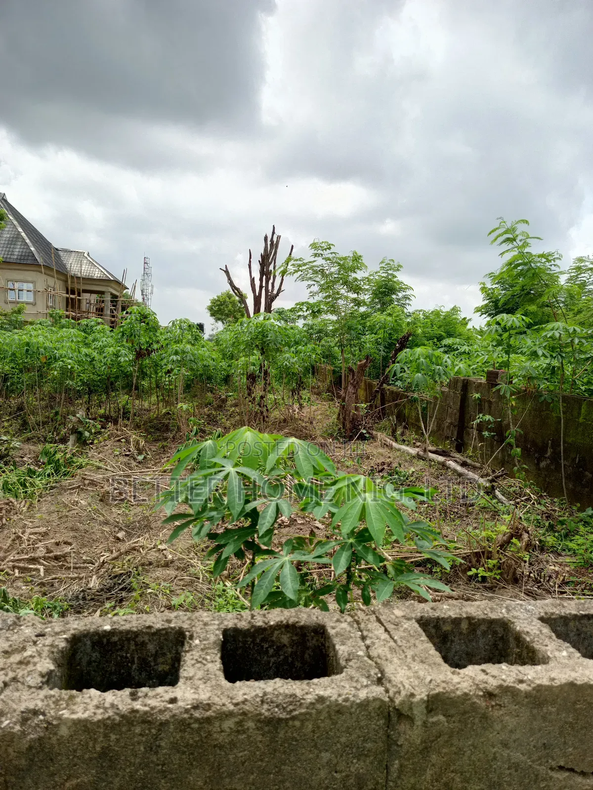 A Plot Standard of Land