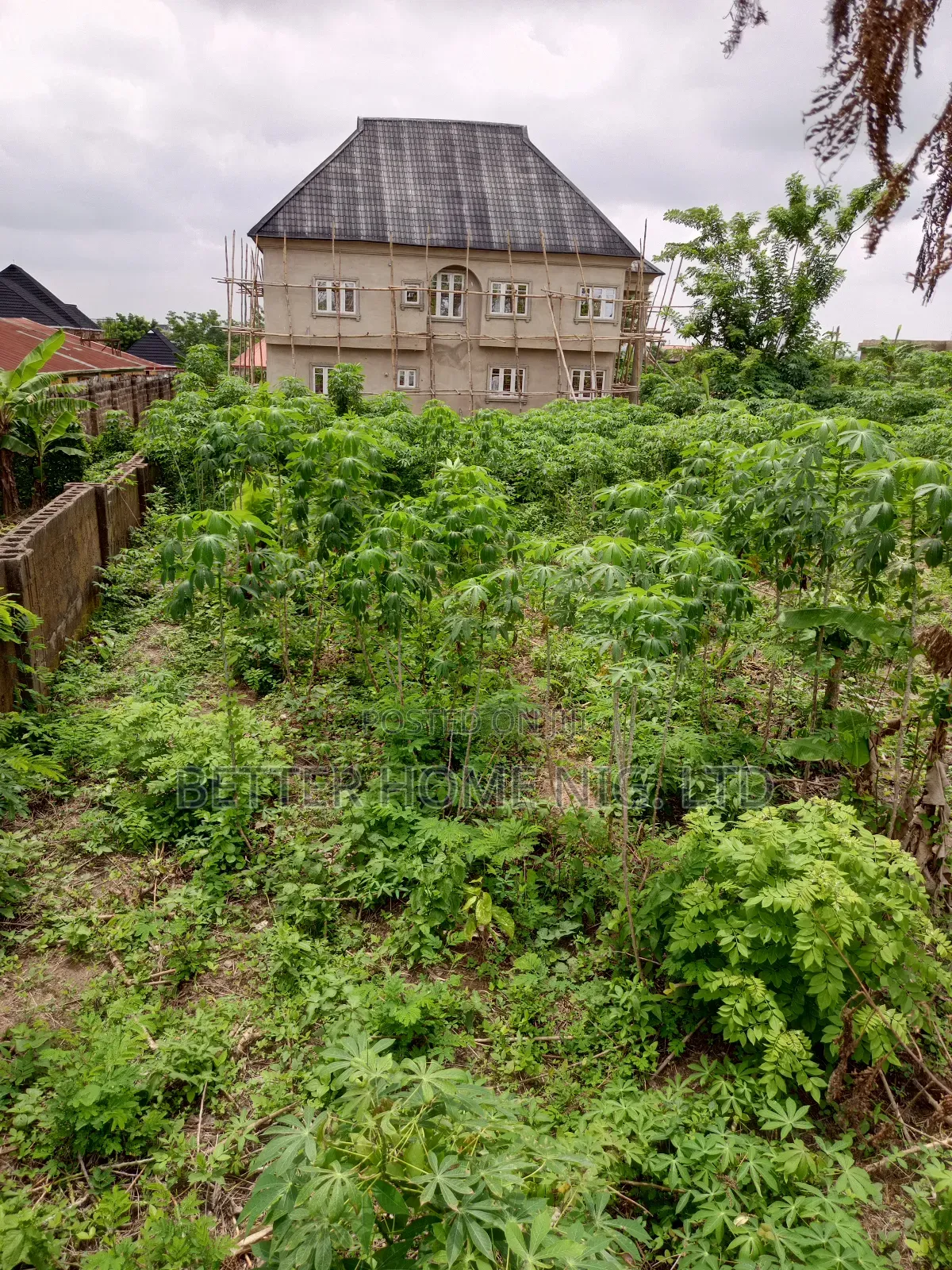 A Plot Standard of Land