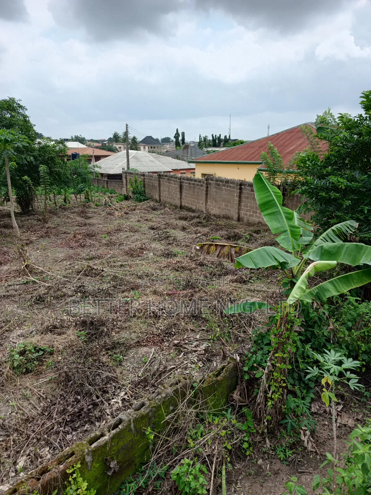 A Plot of Land