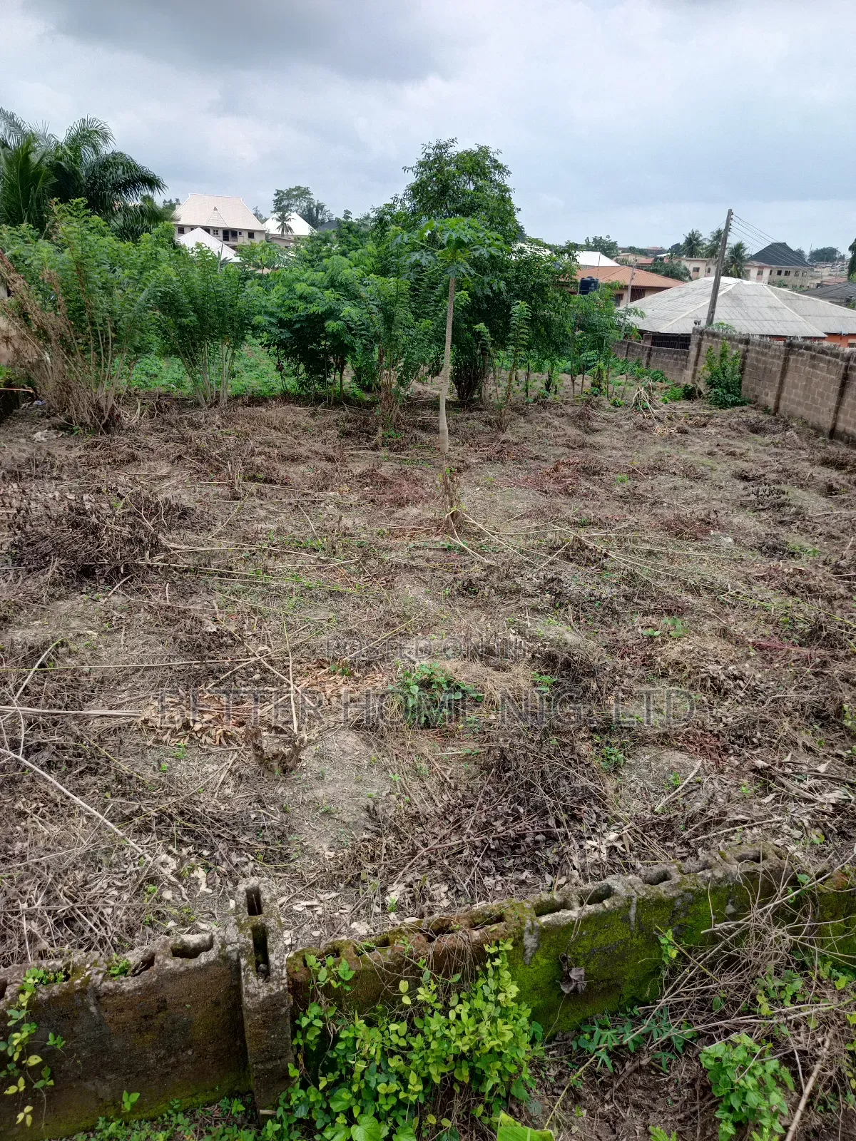 A Plot of Land