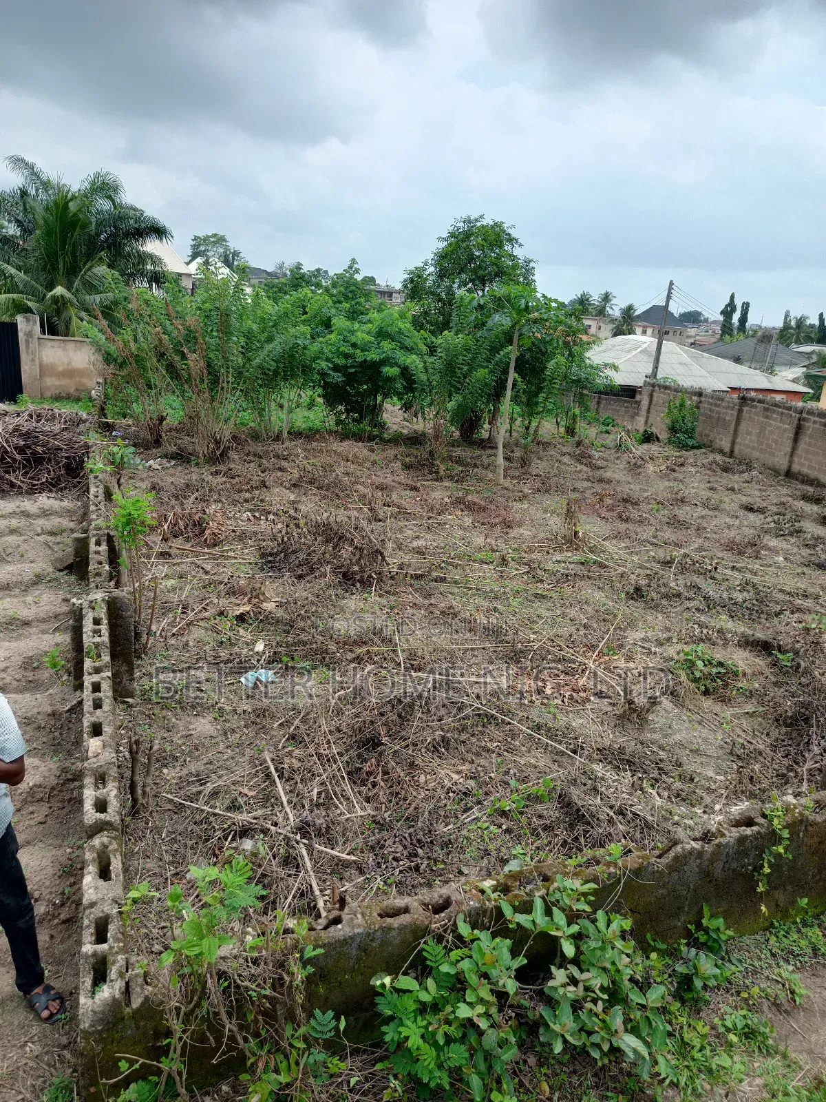 A Plot of Land